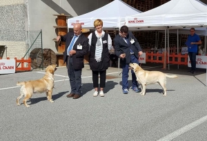 Foto messina