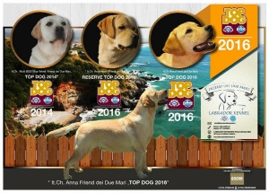 top dog locandina