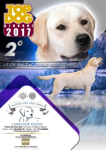 balzac-top-dog-giovani-2017