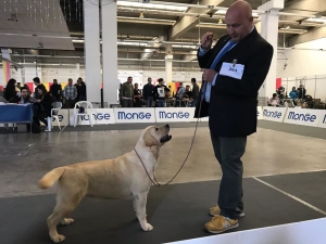 37912167_1056011431228897_6287875204160946176_n