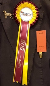 47080638_2104609632929042_3819409438742151168_n