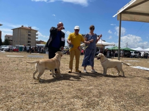 ancona-speciale