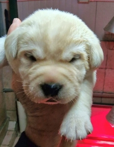 316800406_10220676813490111_2512976296565187051_n