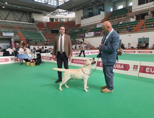 6 BOB e 1 BOS per Ivan in classe Giovani Maschi – Messina 2022