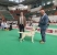 IVAN BOB DI CARLO MESSINA