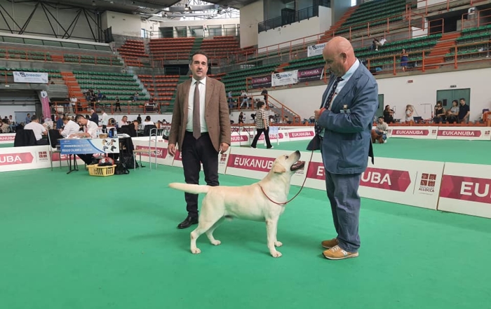 IVAN BOB DI CARLO MESSINA