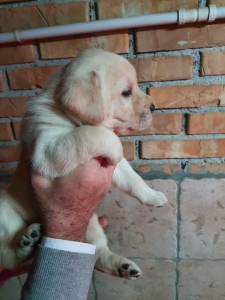 WhatsApp Image 2022-12-04 at 19.08.08