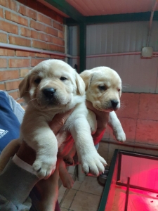 WhatsApp Image 2022-12-04 at 19.08.09