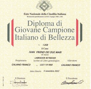 Diploma_Ivan_GCB