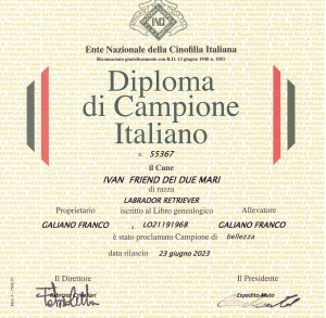 IVAN_DIPLOMA_CIB_