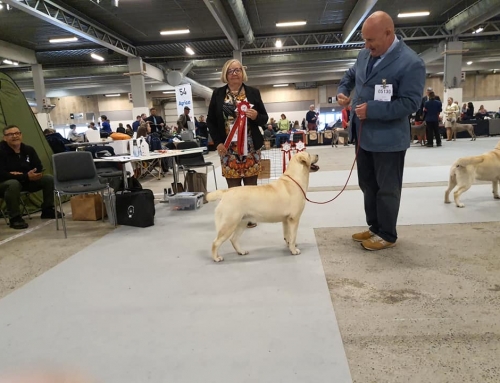 Un viaggio estenuante ma coronato da risultati straordinari… – EDS Herning (DK) 2023