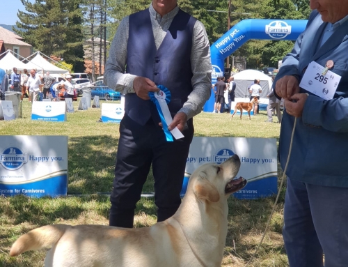 Una favolosa giornata immersi nel verde coronata da eccellenti risultati…- Isernia 2023