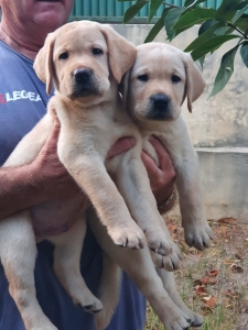 370163612_10222385776613121_4399769314712250903_n