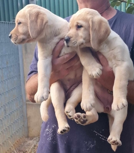 384557566_527059856300204_2822678217676118817_n