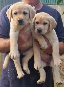 384562337_1073073480519840_1908670498238361134_n