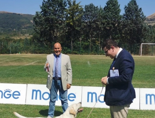Un inizio col Botto per Sky… – Potenza 2023