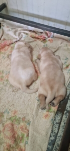 WhatsApp Image 2023-09-04 at 13.06.16