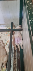 WhatsApp Image 2023-09-04 at 13.06.16 copia