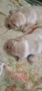 WhatsApp Image 2023-09-04 at 13.06.16 copia 2