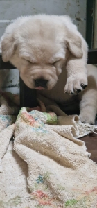 WhatsApp Image 2023-09-04 at 19.24.25