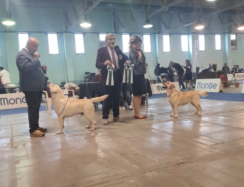 Risultati di prestigio al Puglia Winter Trophy 23′ per i Friend dei Due Mari… – Foggia 2023