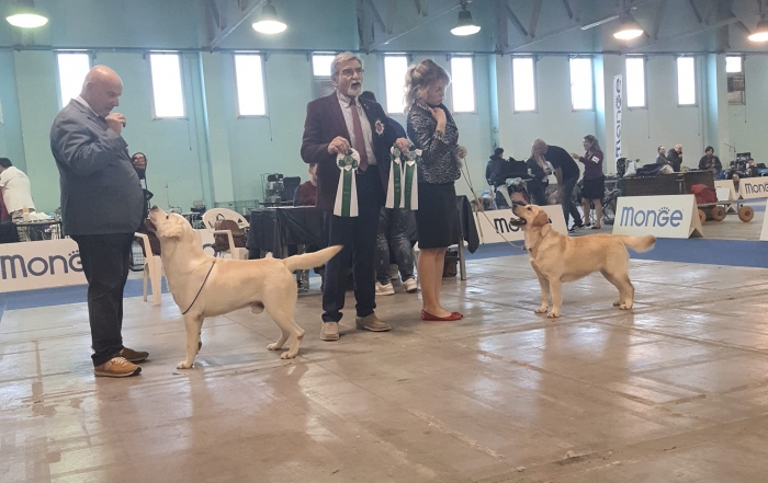 MOSTRA_SPECIALE_FOGGIA_