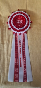 372004498_775206277944115_4521329282121918994_n