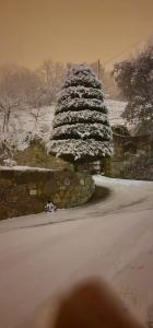 NEVE_AV_
