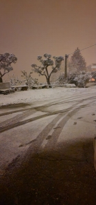 NEVE_AV_01_
