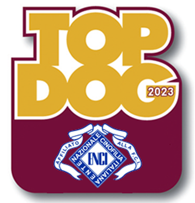 topdog2023_2