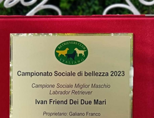 Ivan Friend dei Due Mari nuovo Campione Sociale RCI 2023 – Sinalunga 2024