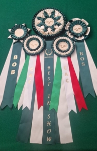 441459105_966445132153561_7181596587139184198_n