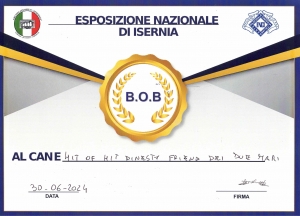 DIPLOMA_SKY_ISERNIA_