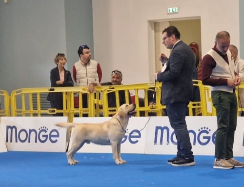 Remì piace e convince ad Abruzzo Winner… – Montesilvano 2024