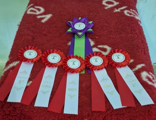 Puglia Winter winner 2024 – Foggia 2024