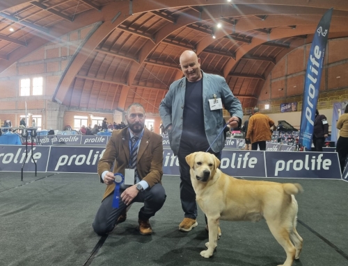 La conclusione di un anno espositivo soddisfacente… – Crotone 2024