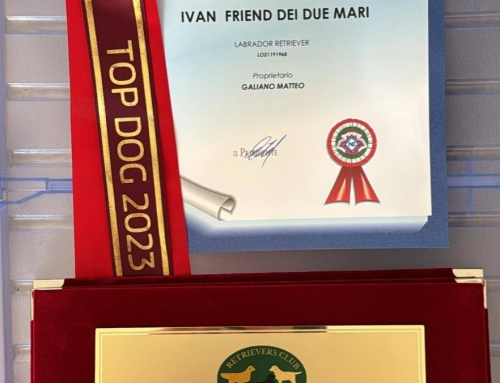 Premi di Ivan…