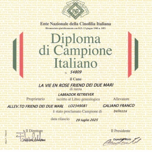 LA-VIE-EN-ROSE-FDDM-DIPLOMA-CAMPIONATO-ITALIANO-