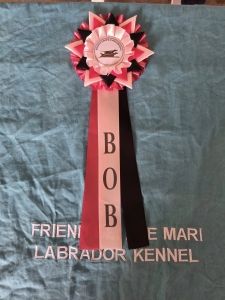 545430739_1367183598746377_5176874315372774077_n