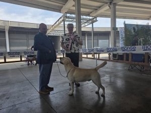 545585185_1367183538746383_4103790497868596409_n