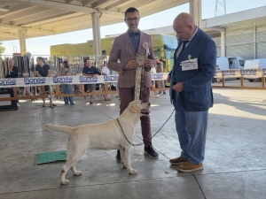 546138793_1367183398746397_9023507939049588144_n