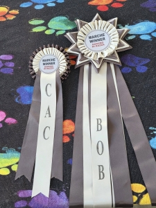 547102465_1367183455413058_690960564890646278_n