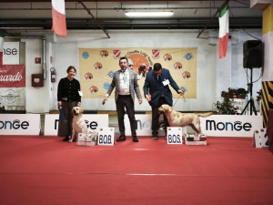 REMì-BOS-CB-